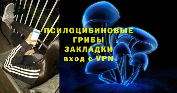 амфетамин Белокуриха