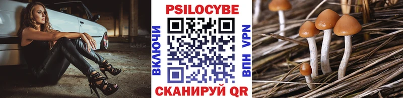 Купить  Остров  Псилоцибиновые грибы мицелий 